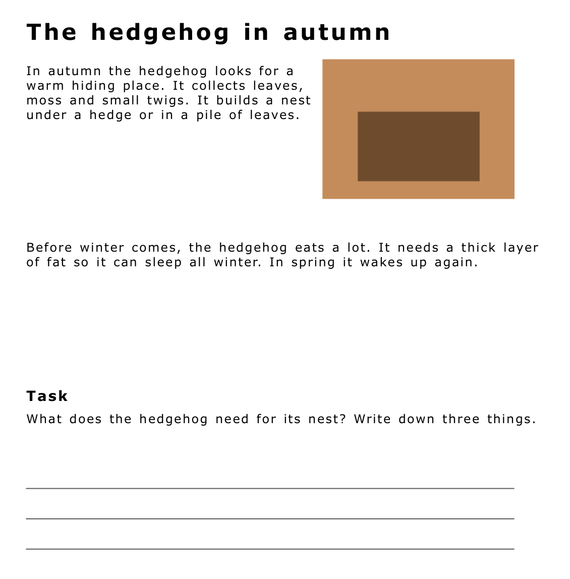 The same worksheet after CVI PDF: text in Verdana with more letter spacing; image, task and writing lines stay in the same place.